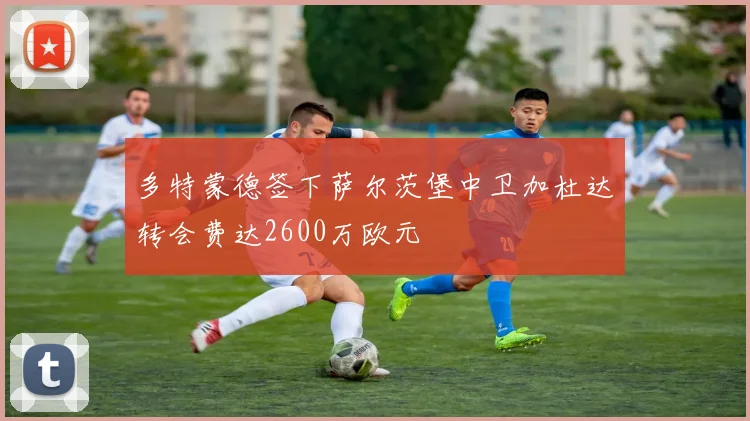 多特蒙德签下萨尔茨堡中卫加杜达转会费达2600万欧元
